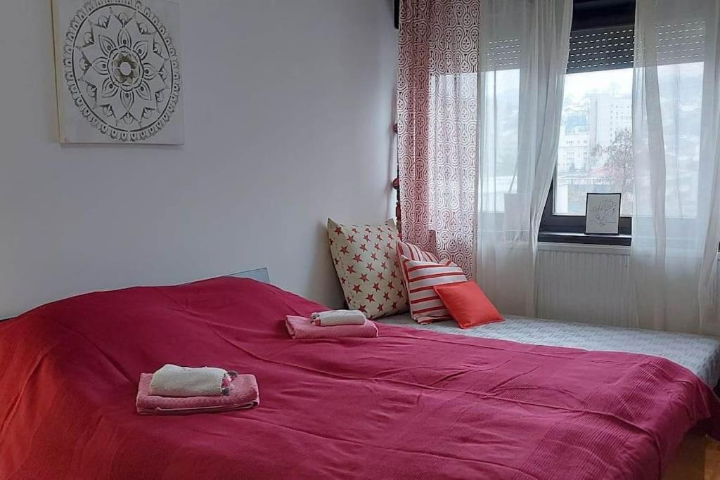 Ms Jupiter Appartement *